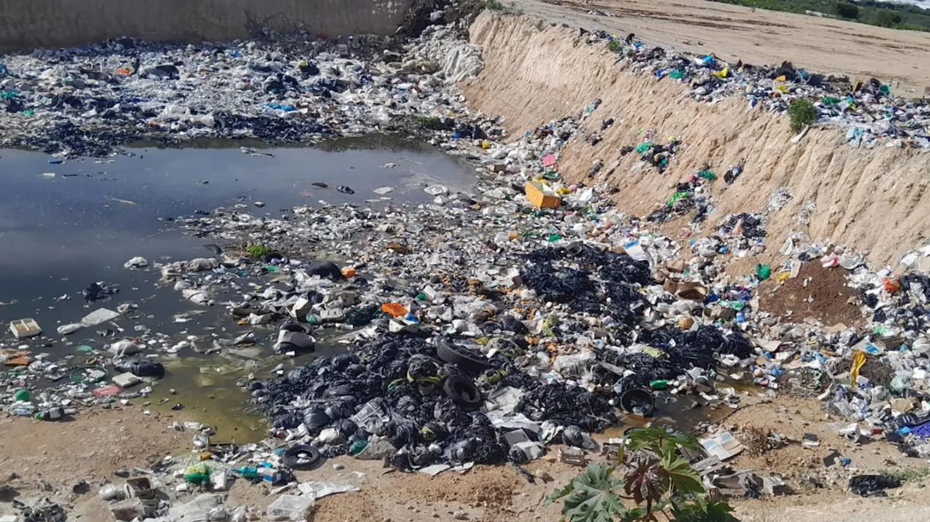 La basura y el agua acumulada son un foco de infección